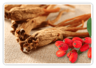 Berberine